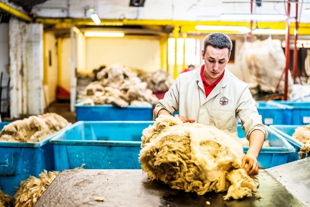 The Wool Board Case Study