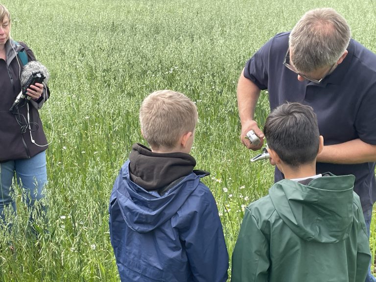 Aberdeen City Schools Visit Farmer Phil’s Pea Farm!