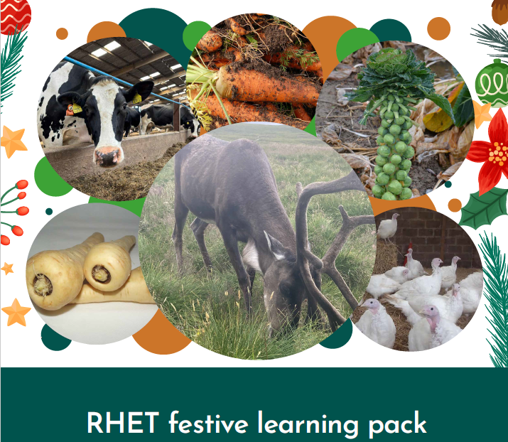 RHET Festive Learning Pack