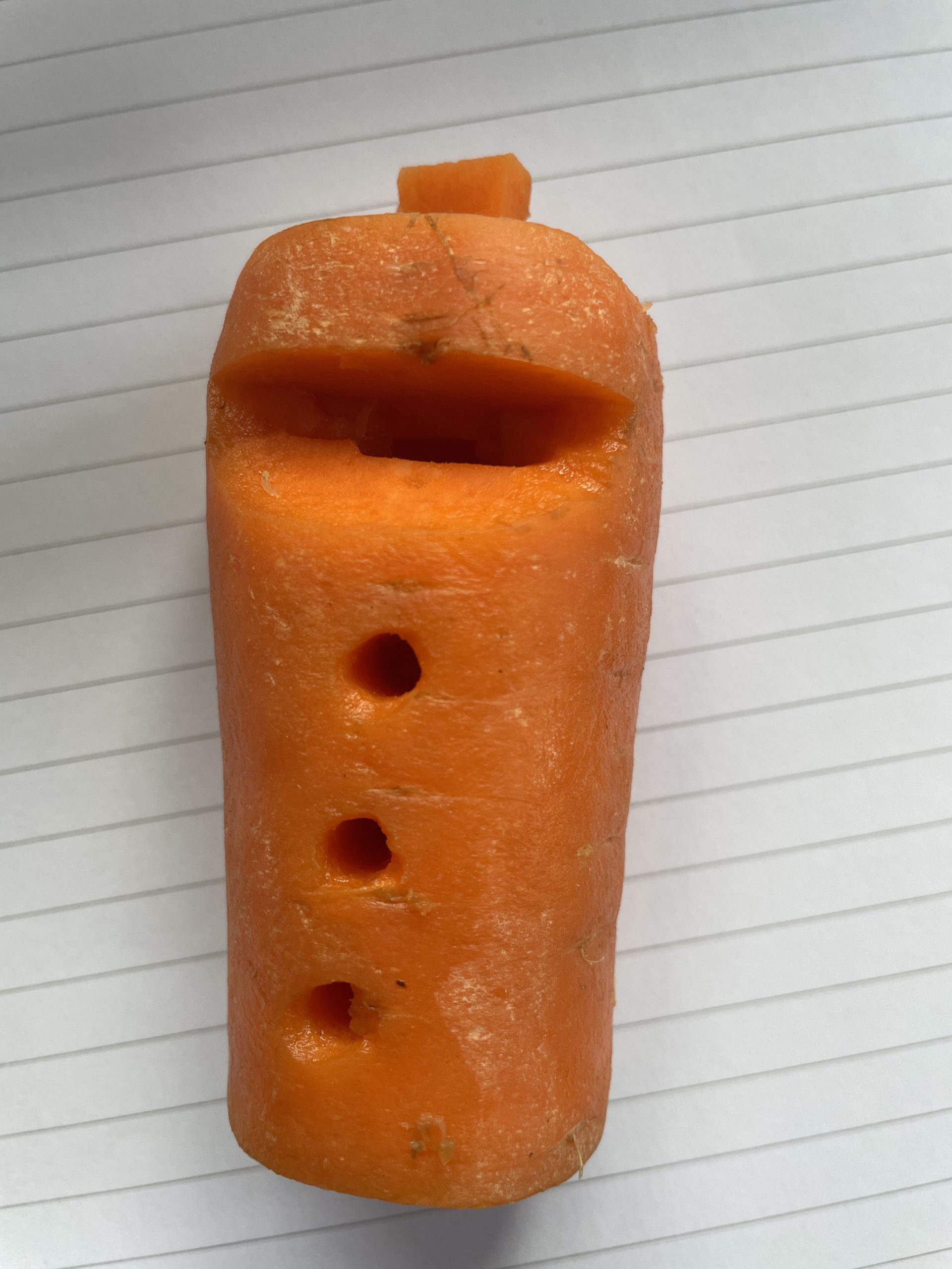 Make your own vegetable instruments