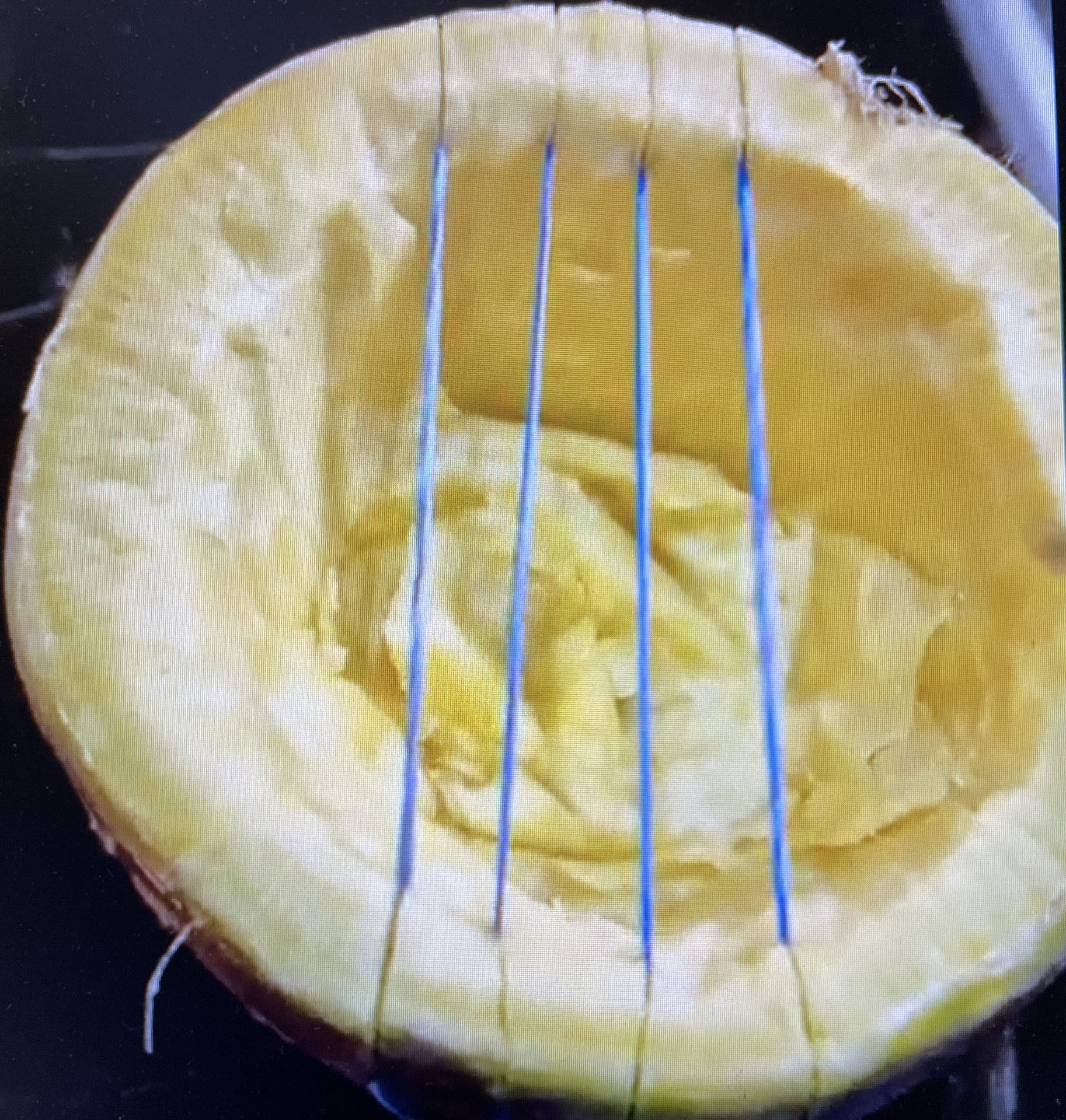 Make your own vegetable instruments